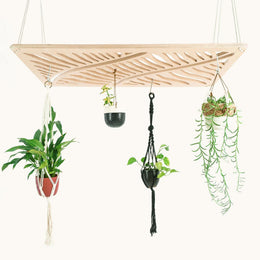 Japandi Plant Chandelier - - Work From Home Desks