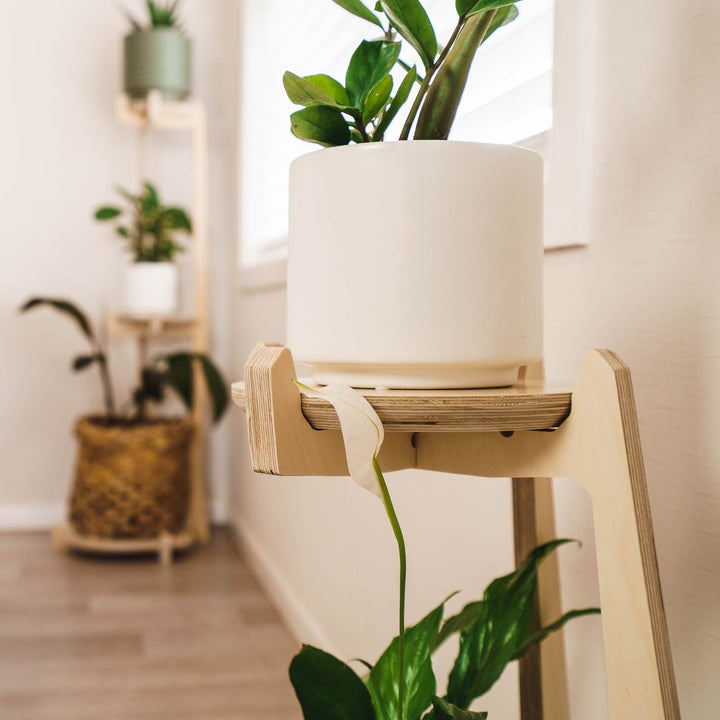 Japandi Tiered Plant Stand - - Work From Home Desks