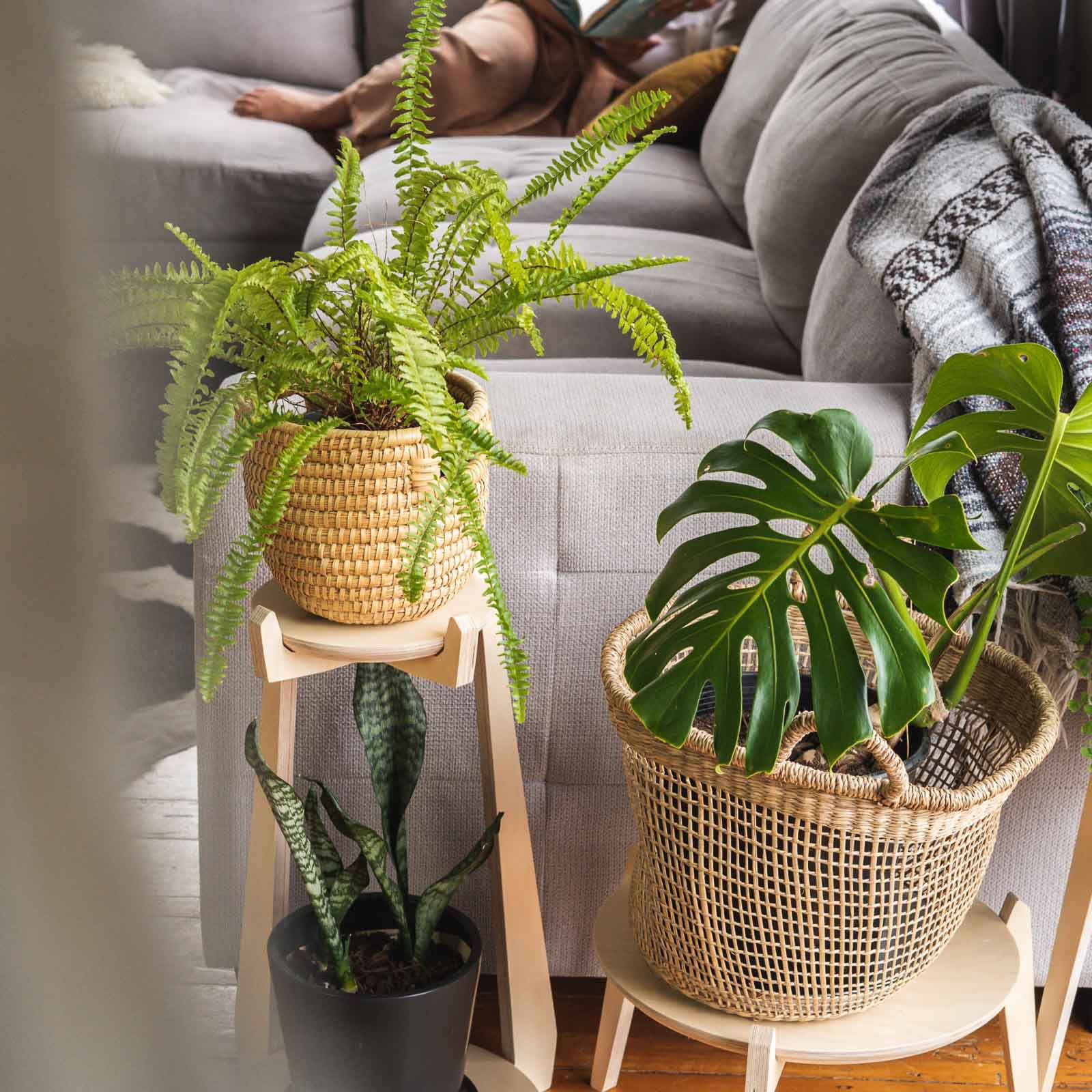 Japandi Tiered Plant Stand - - Work From Home Desks