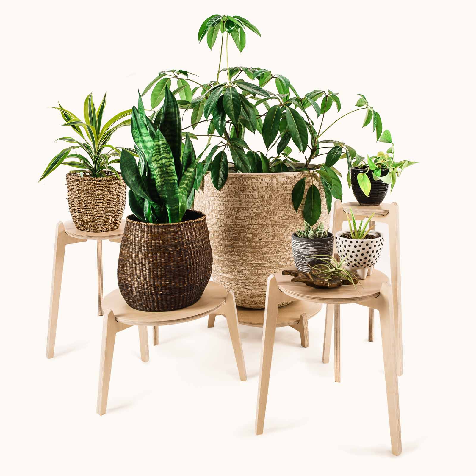 Japandi Plant Stands