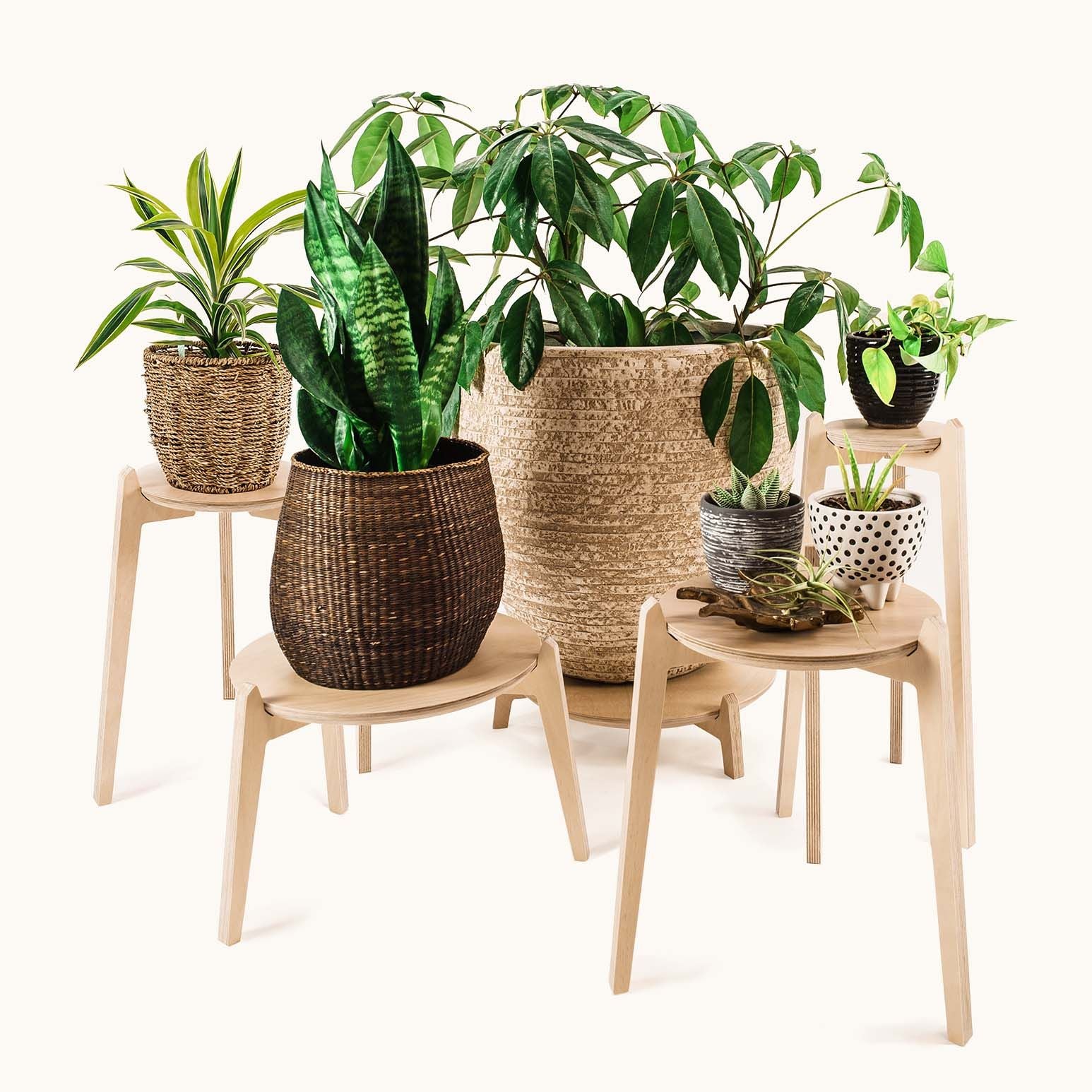 Plant Stands -  - Work From Home Desks                                    