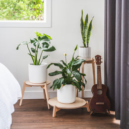 Japandi Tri-leg Plant Stands