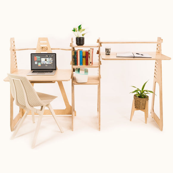 WFH Two Person Desk