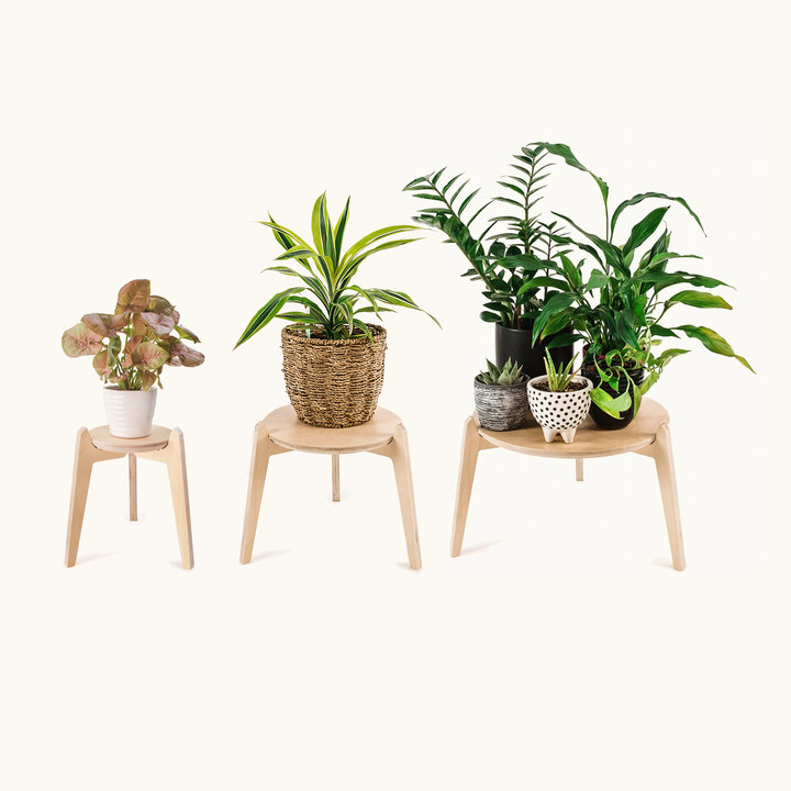 The Plant Collectors Set