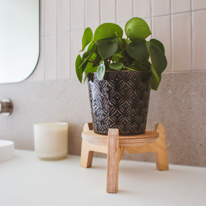 Japandi Tri-leg Plant Stands