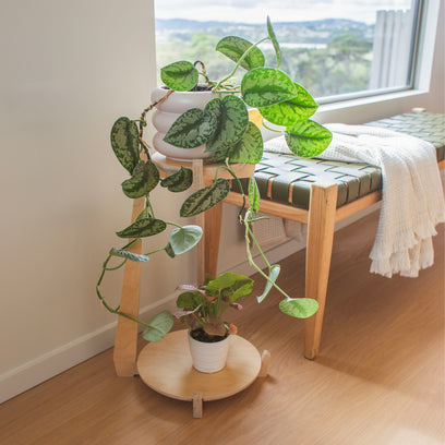 Japandi Tiered Plant Stand
