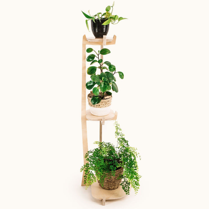 Japandi Corner Plant Stand -  - Work From Home Desks                                    