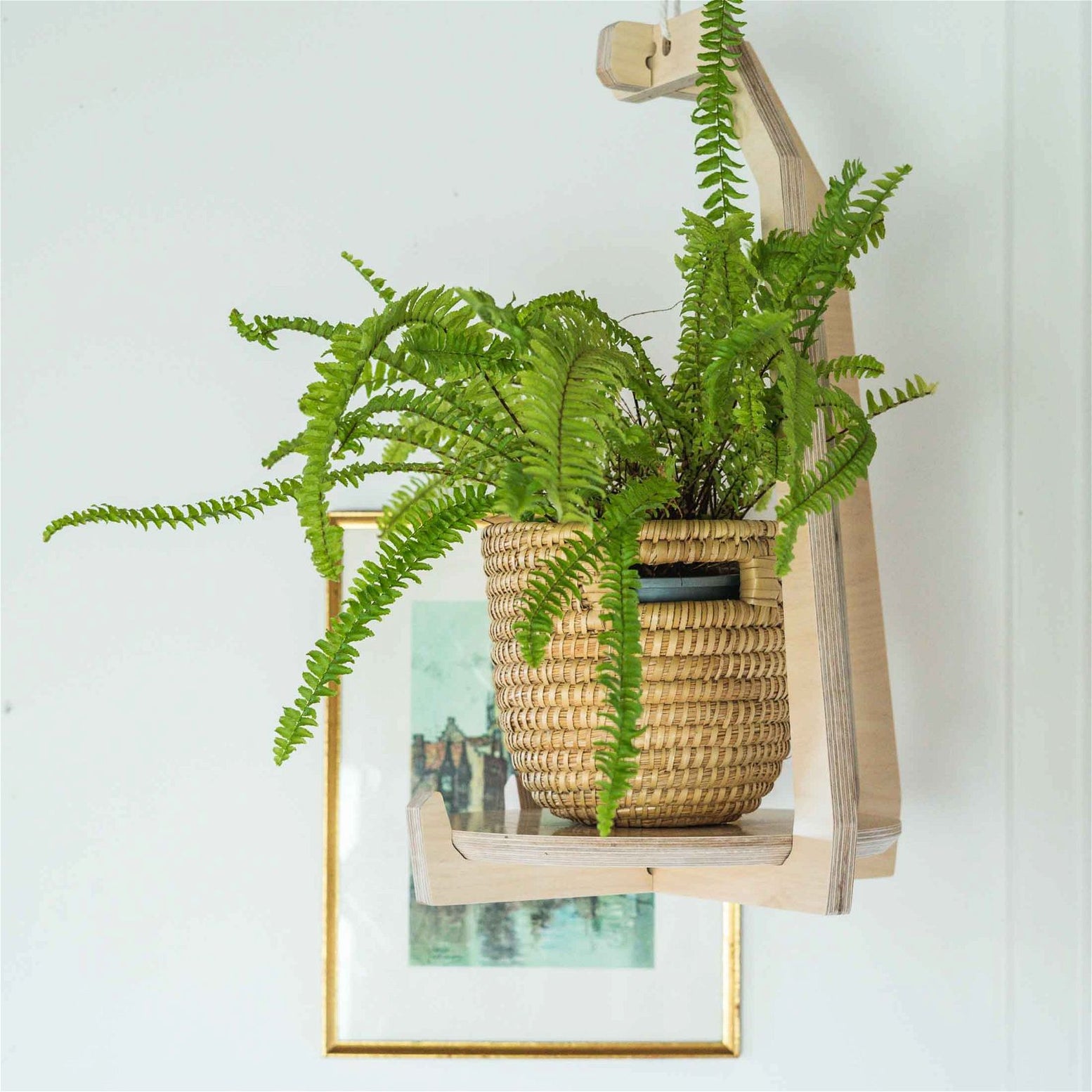 plant stand for hanging basket •Japandi Hanging Plant Stand