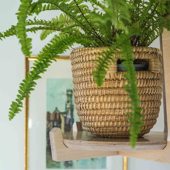 Japandi Hanging Plant Stand -  - Work From Home Desks                                    