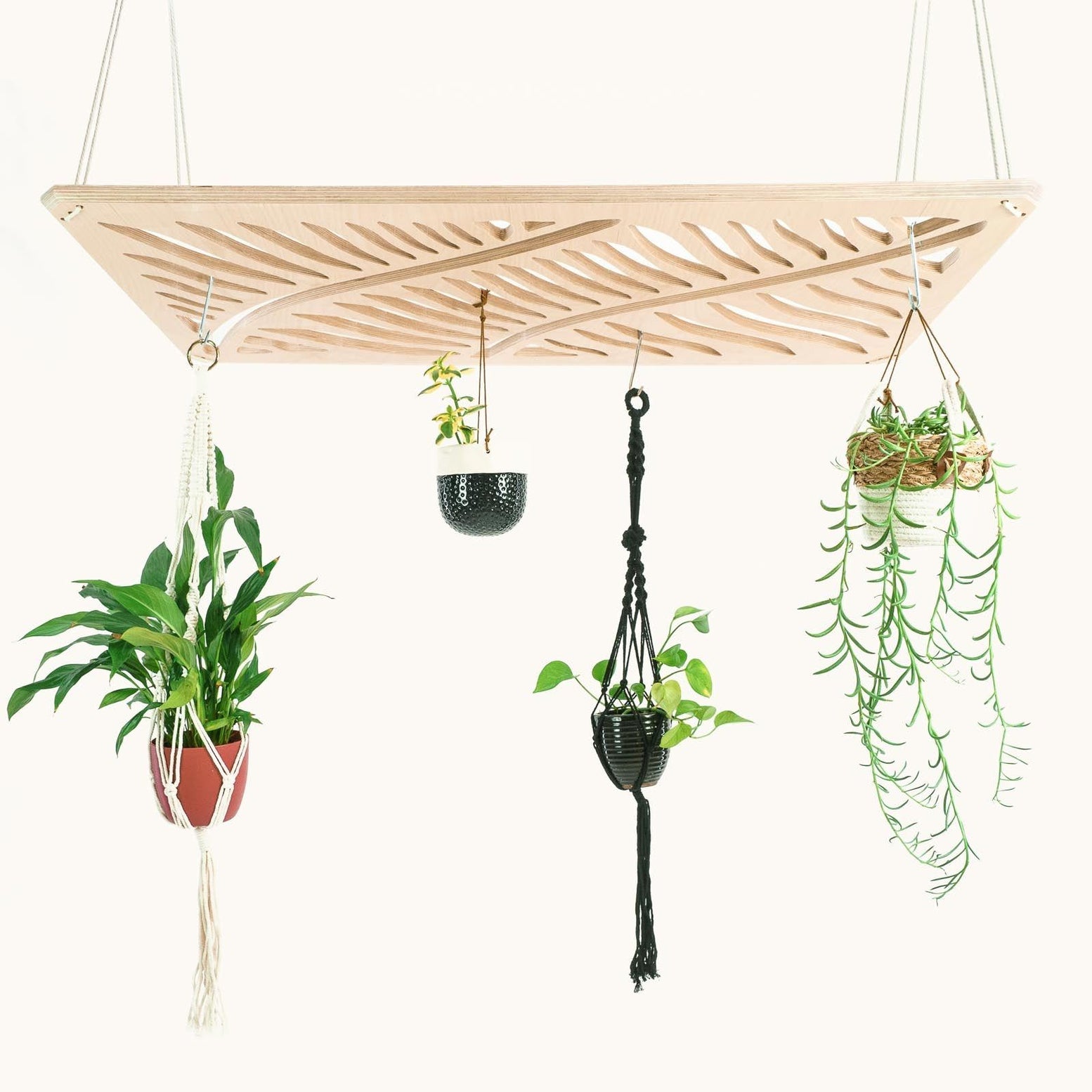 Japandi Plant Chandelier -  - Work From Home Desks                                    