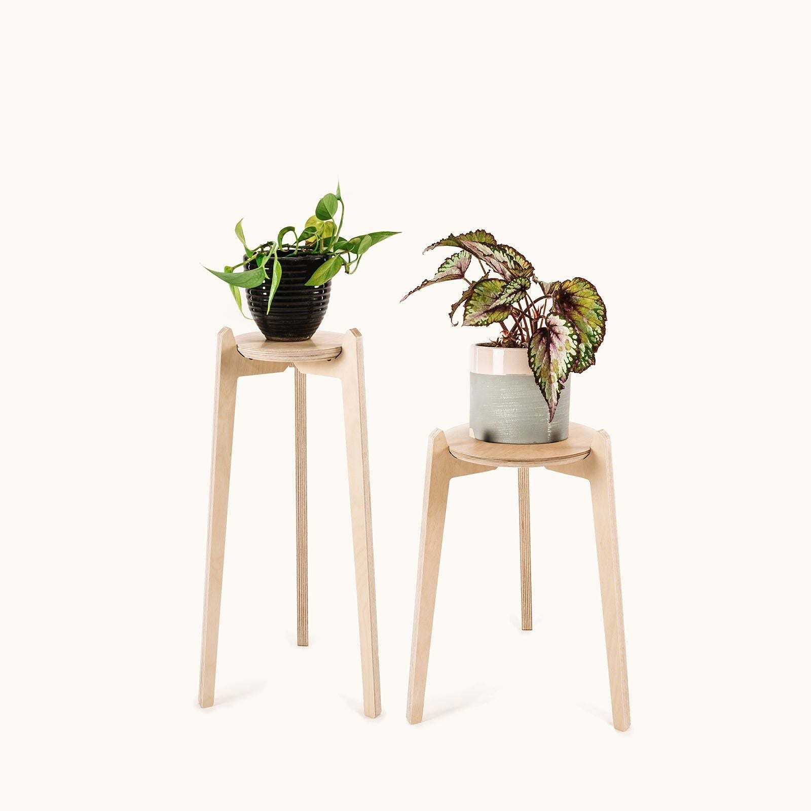 Japandi Plant Stand 2 pack - Small -  - Work From Home Desks                                    