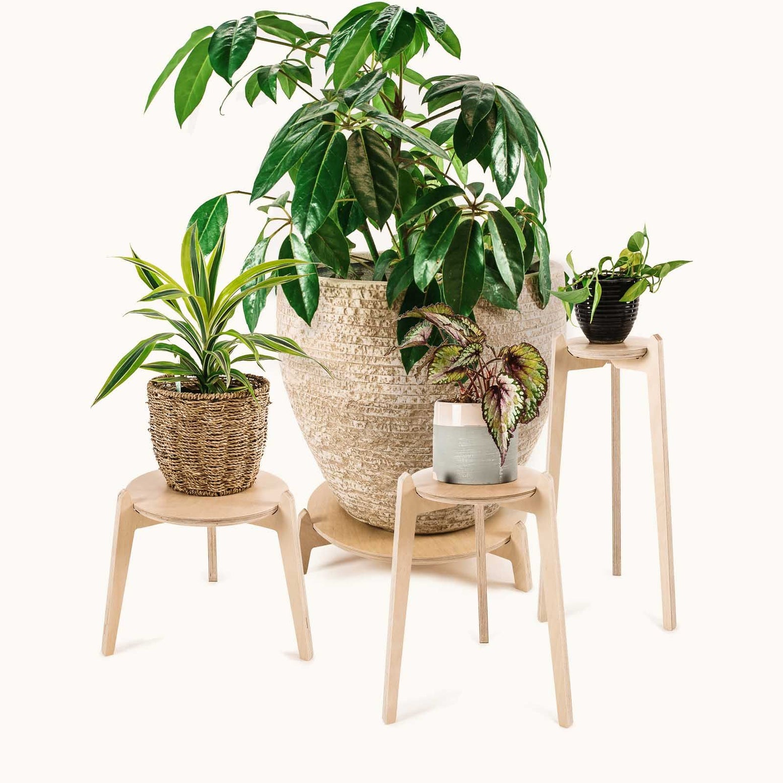 Japandi Plant Stand 4 pack -  - Work From Home Desks                                    