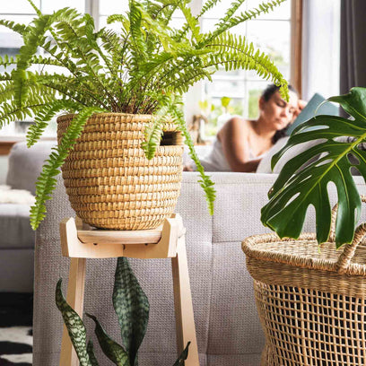Japandi Tiered Plant Stand -  - Work From Home Desks                                    