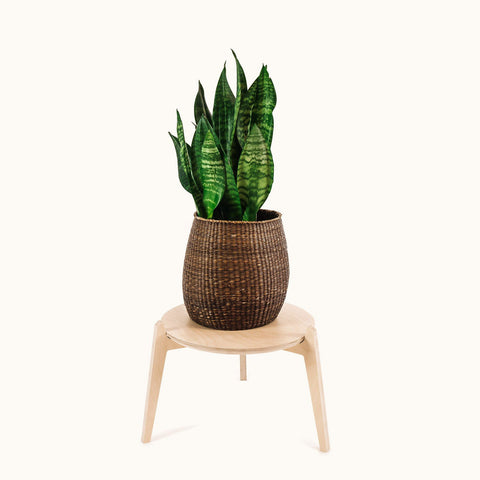 wanderout YOSHITA DESIGN ナベシキPot Stand Y 71nFTdNpc7L._UF350,350_QL50_.jpg