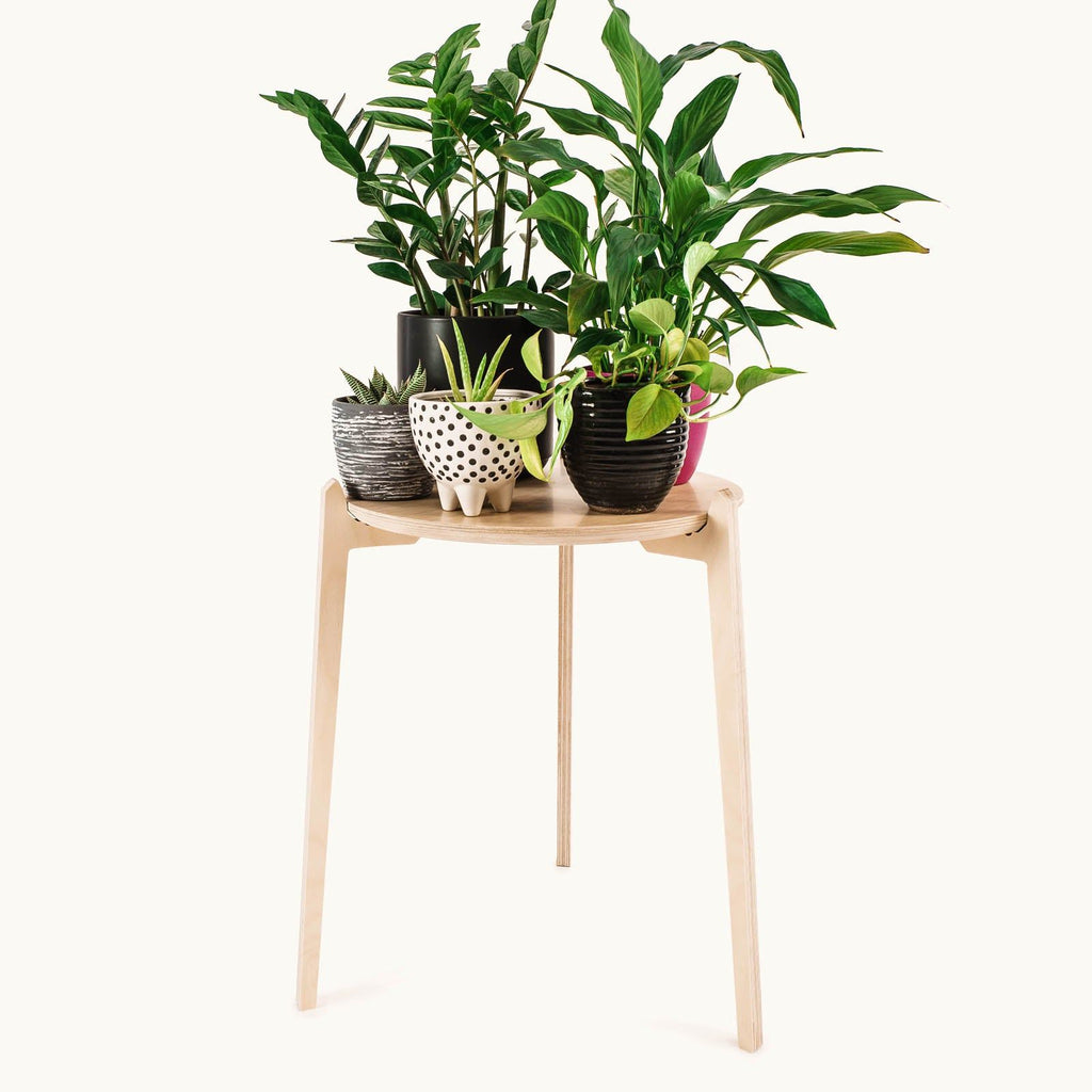 Japandi 15.5" Plant Stand 4" / Satin Birch -  - Work From Home Desks                                    