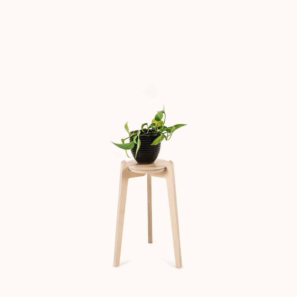 Japandi 6.5" Plant Stand 4" / Satin Birch -  - Work From Home Desks                                    