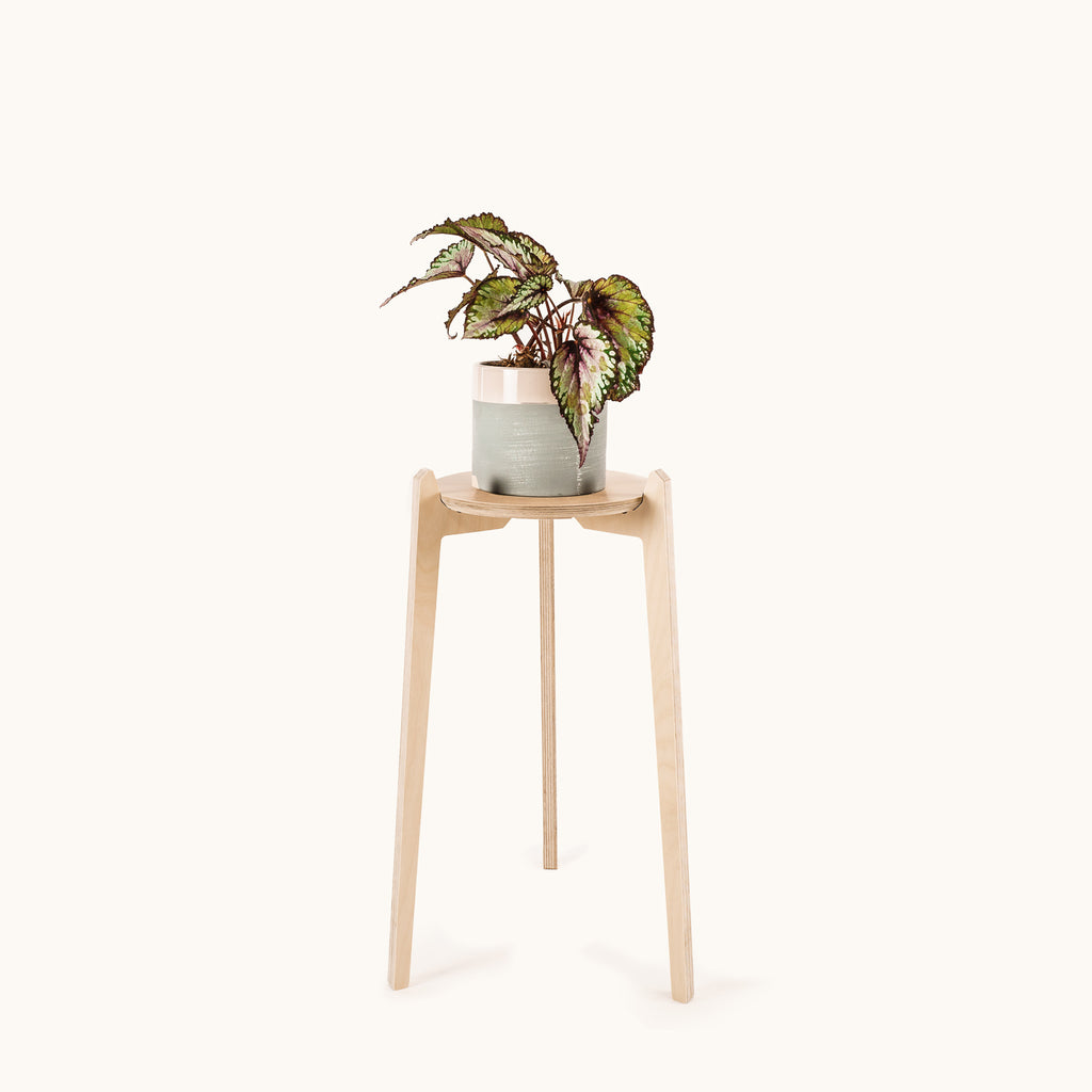 Japandi 8.5" Plant Stand 4" / Satin Birch